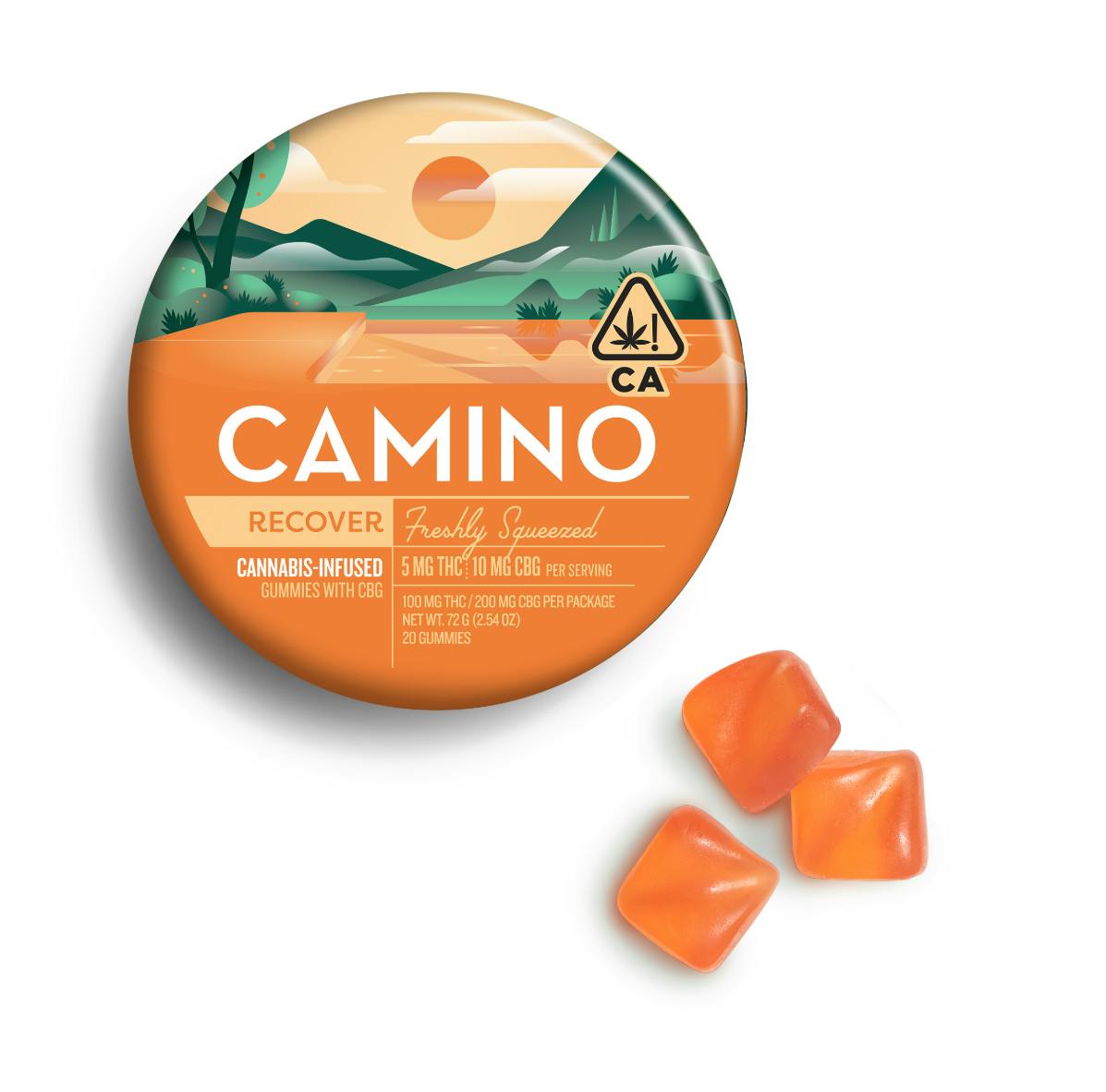 CAMINO — Cbg