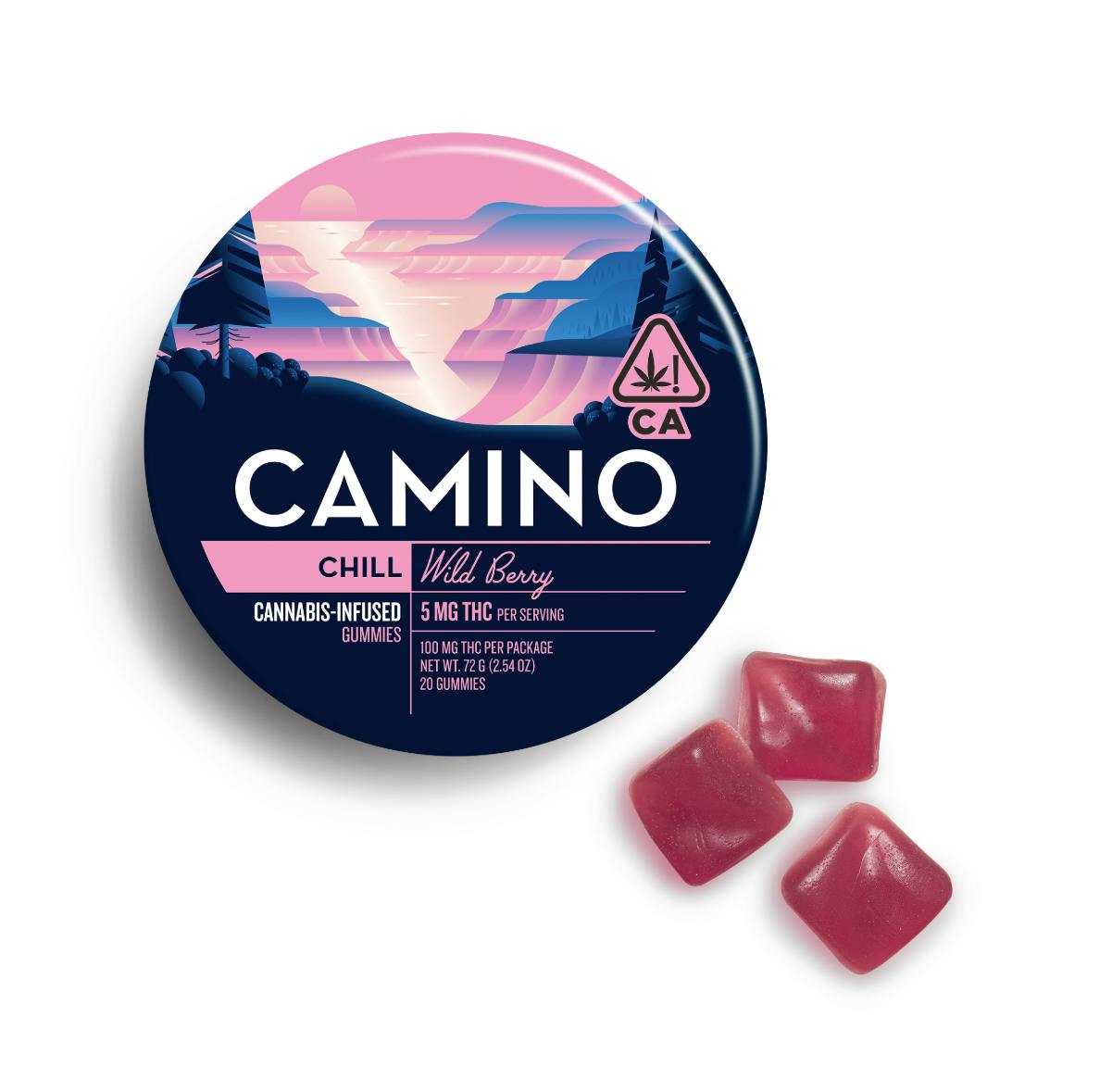 CAMINO — Wildberry