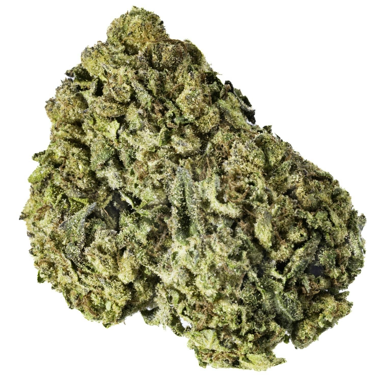 West Coast Cure — Blue Andeze