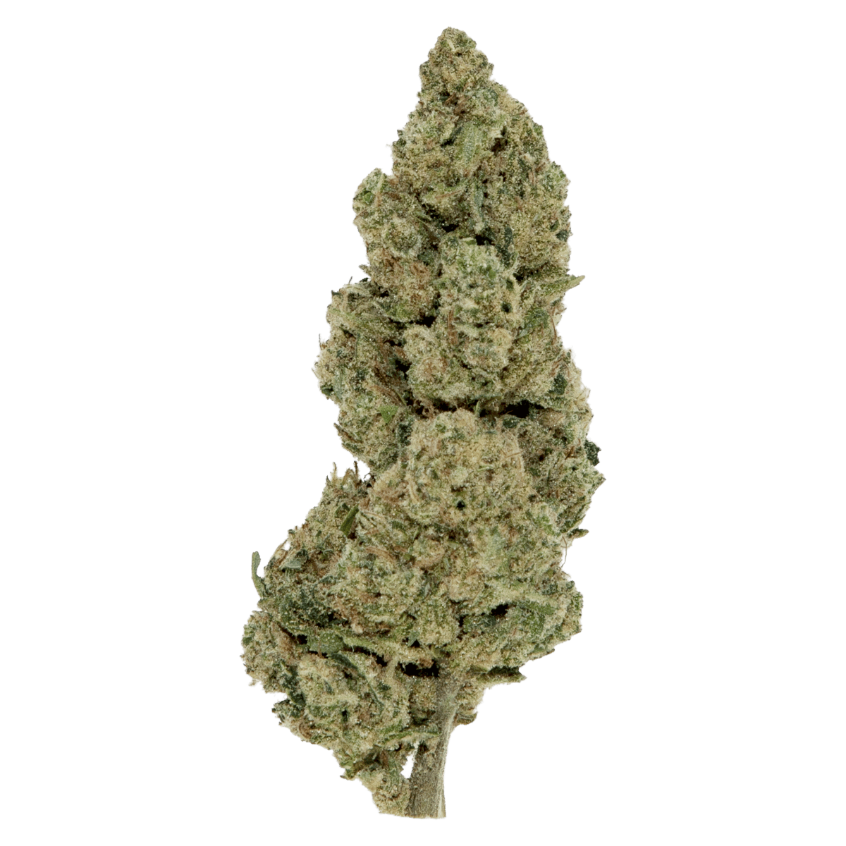 Black | Blue Dream | Buds | 3.5g
