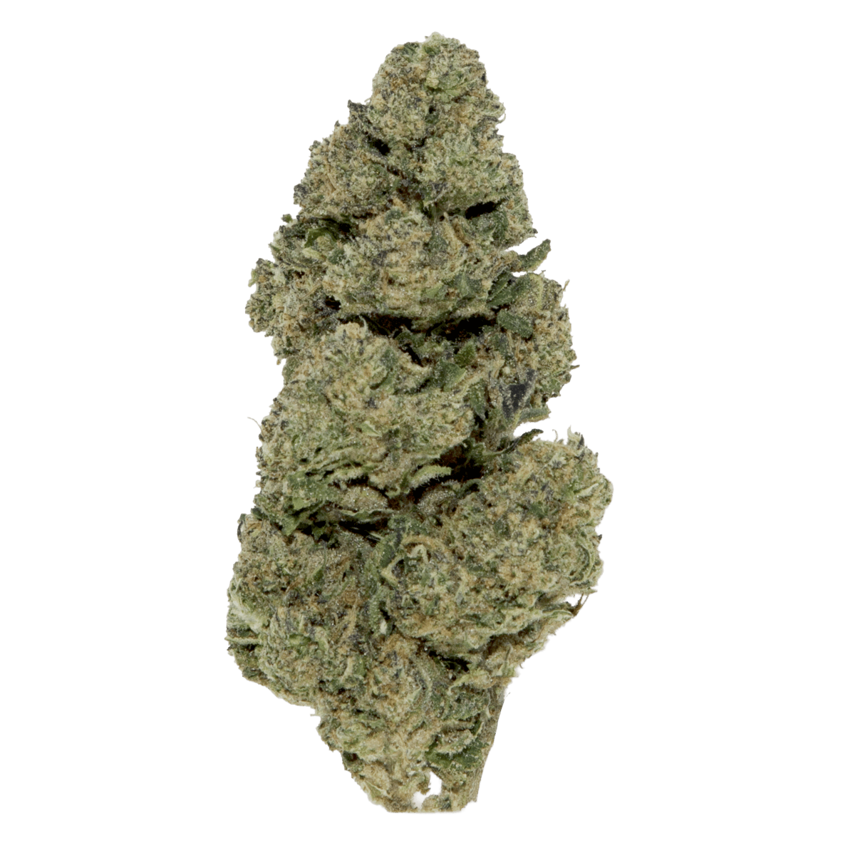 Black | Double Runtz | Buds | 14g