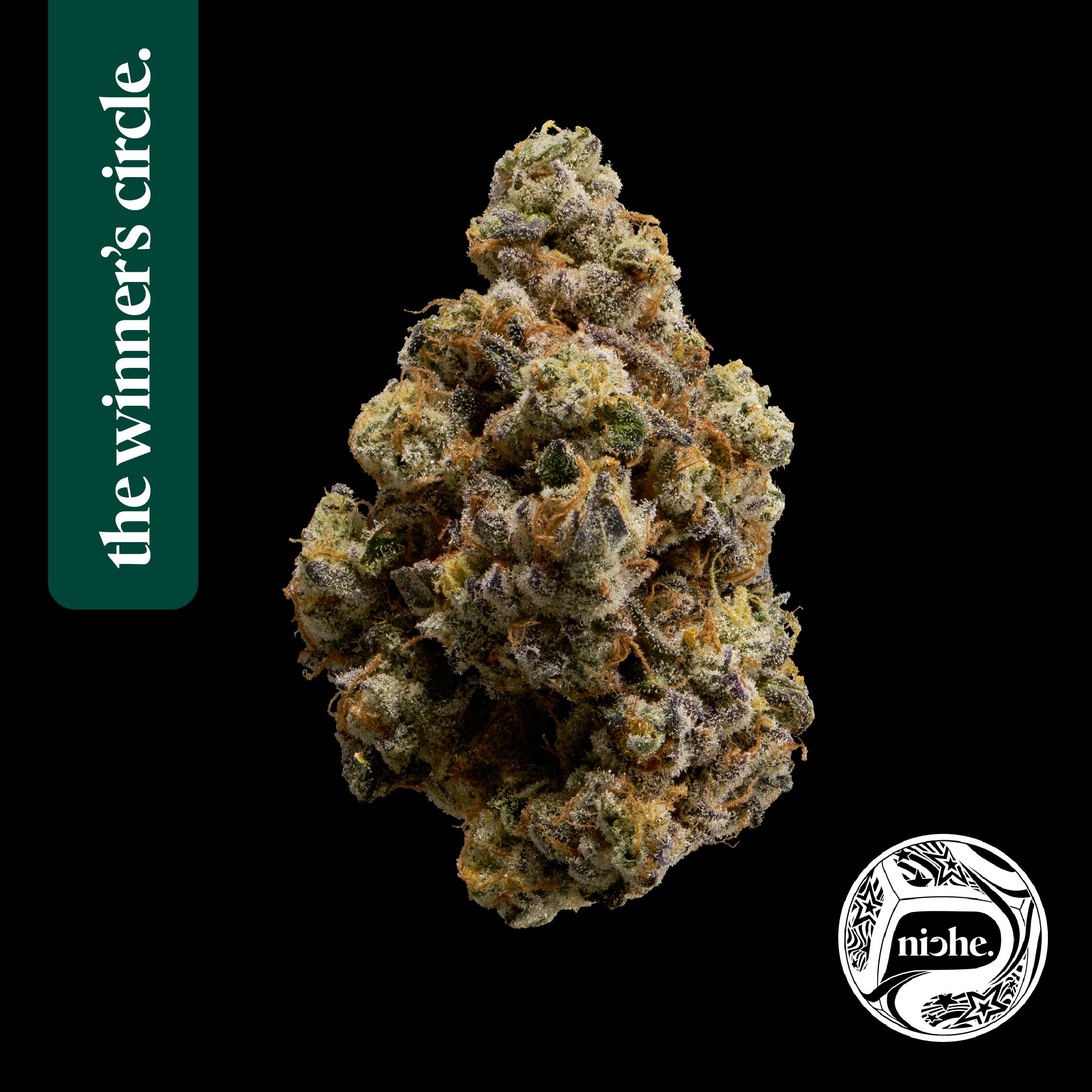 First Class Gas | 3.5g by Niche