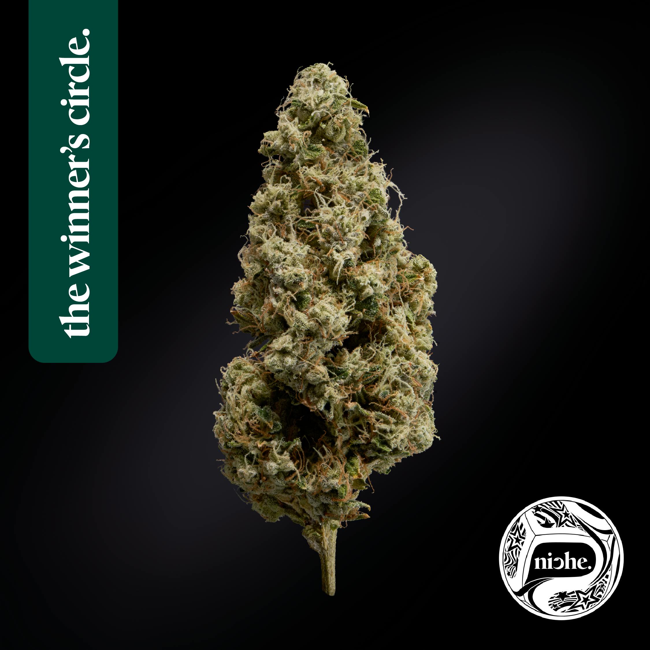 First Class Gas | 1g by Niche