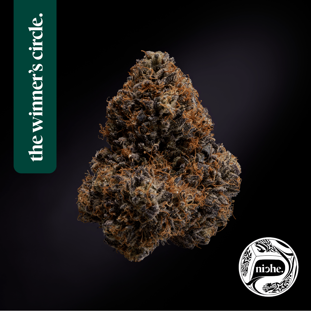 Ridgeline Lantz | 1g