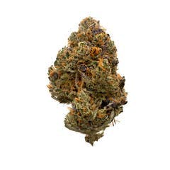 Highbrow | Silver Sunshine | Flower | 3.5g by Highbrow