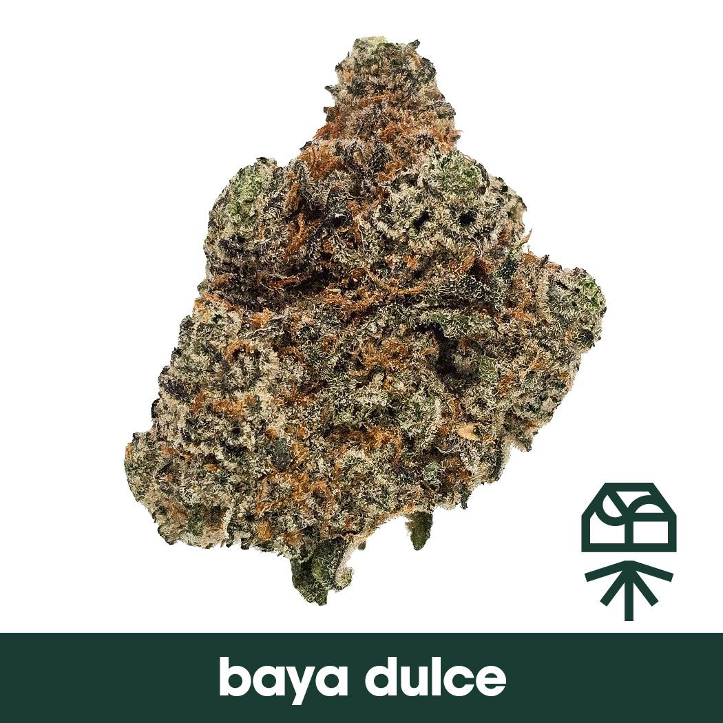 Baya Dulce Whole Flower