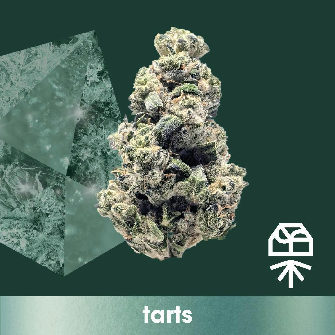Tarts Diamond Infused Flower by Grassroots