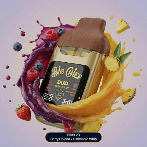 Big Chief | Berry Colada x Pineapple Whip | V3 LD Disposable | 2g