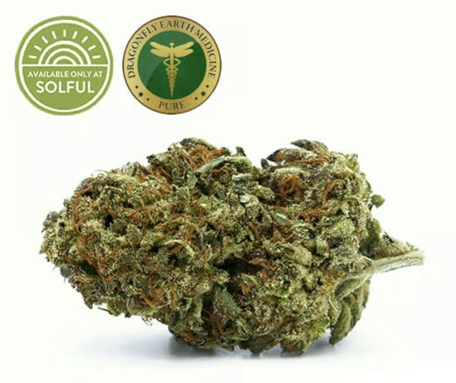 Sun Roots Farm | Paradise | Flower | 3.5g - Sun Roots Farm