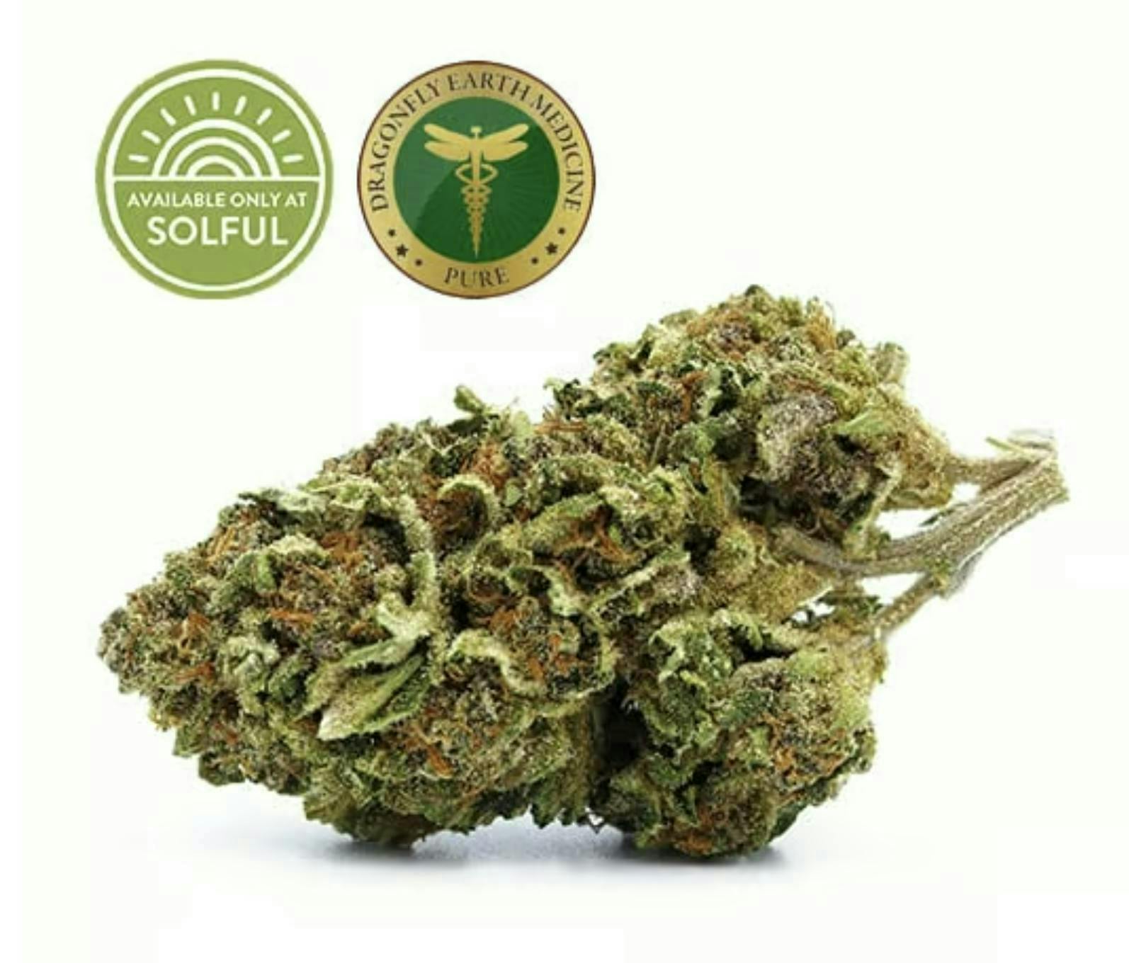 Sun Roots Farm | Velvet Sun | Flower | 3.5g - Sun Roots Farm