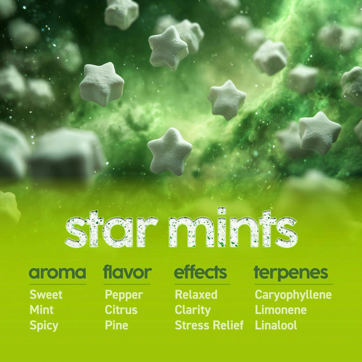 Star Mints | Big Buds | 14g