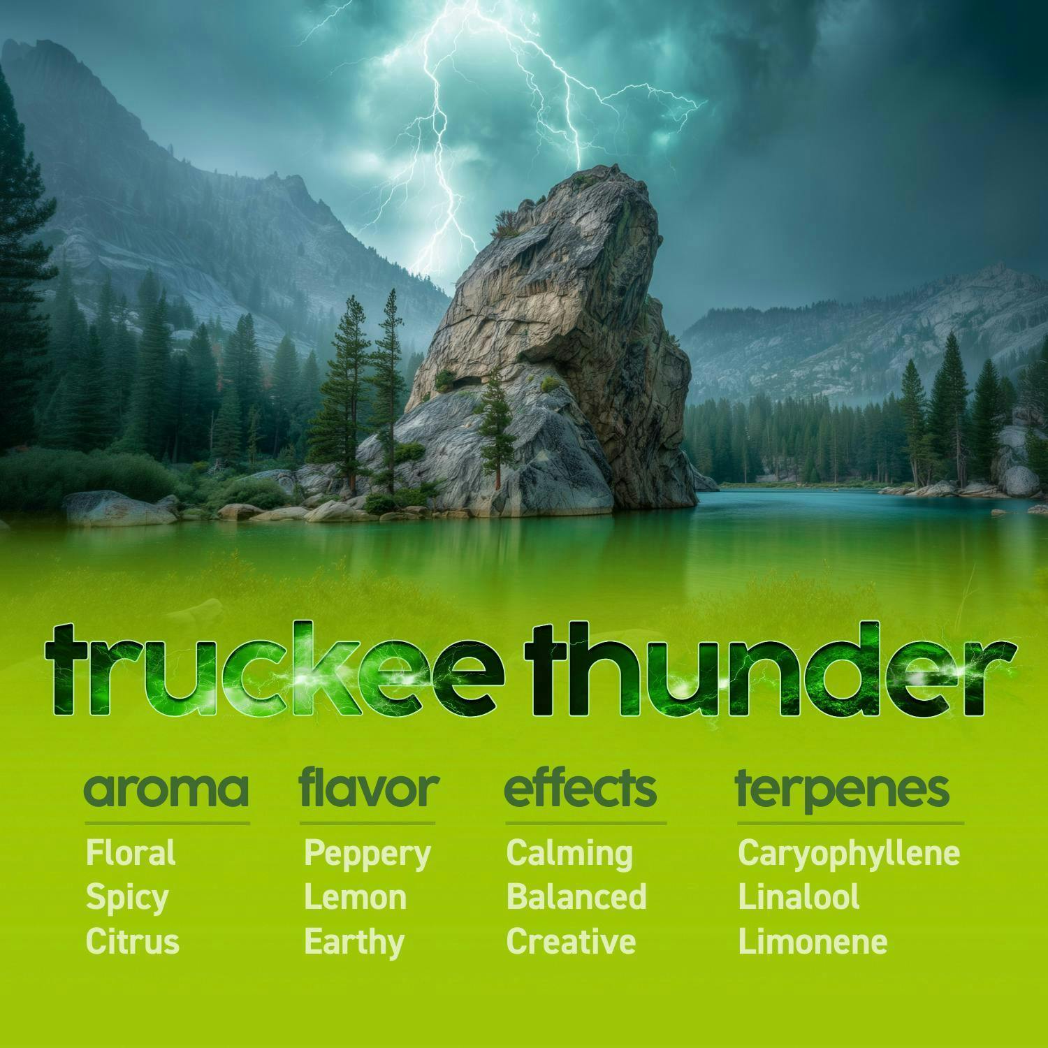 Truckee Thunder | Big Buds | 3.54g
