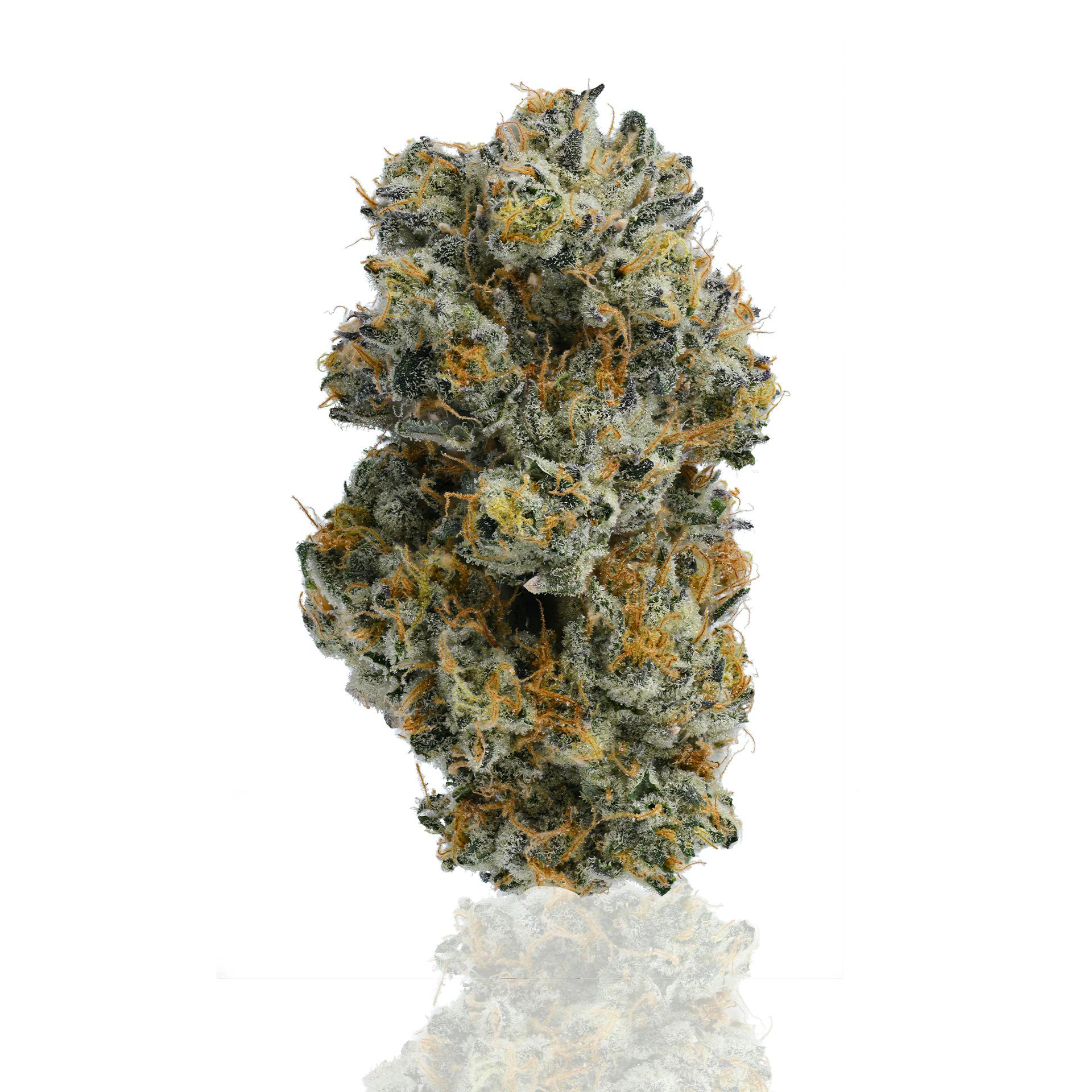 CAM | Garlic Juice | Big Buds | 14g