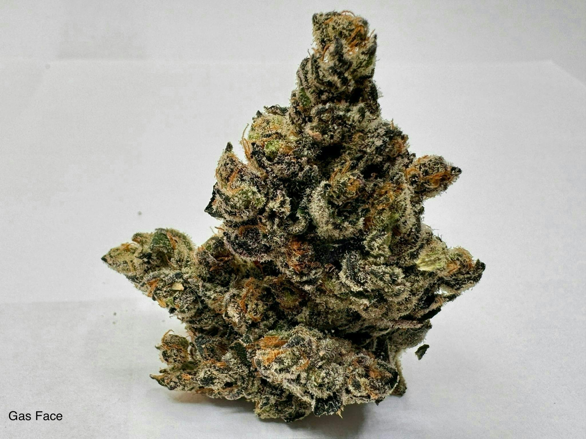 Eclipse Maine | Gas Face | Flower | 3.5g