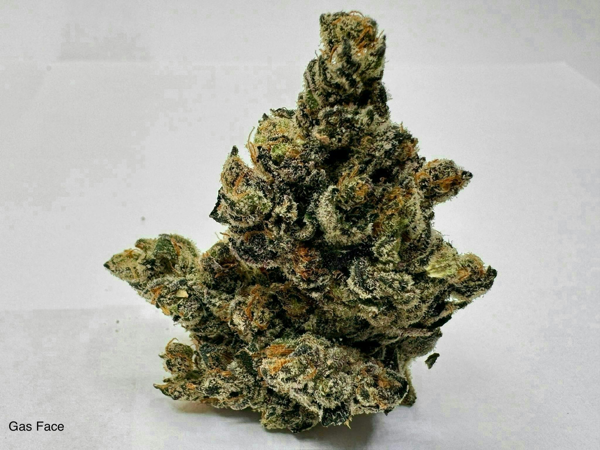 Eclipse Maine | Gas Face | Flower | 28g by Eclipse Maine