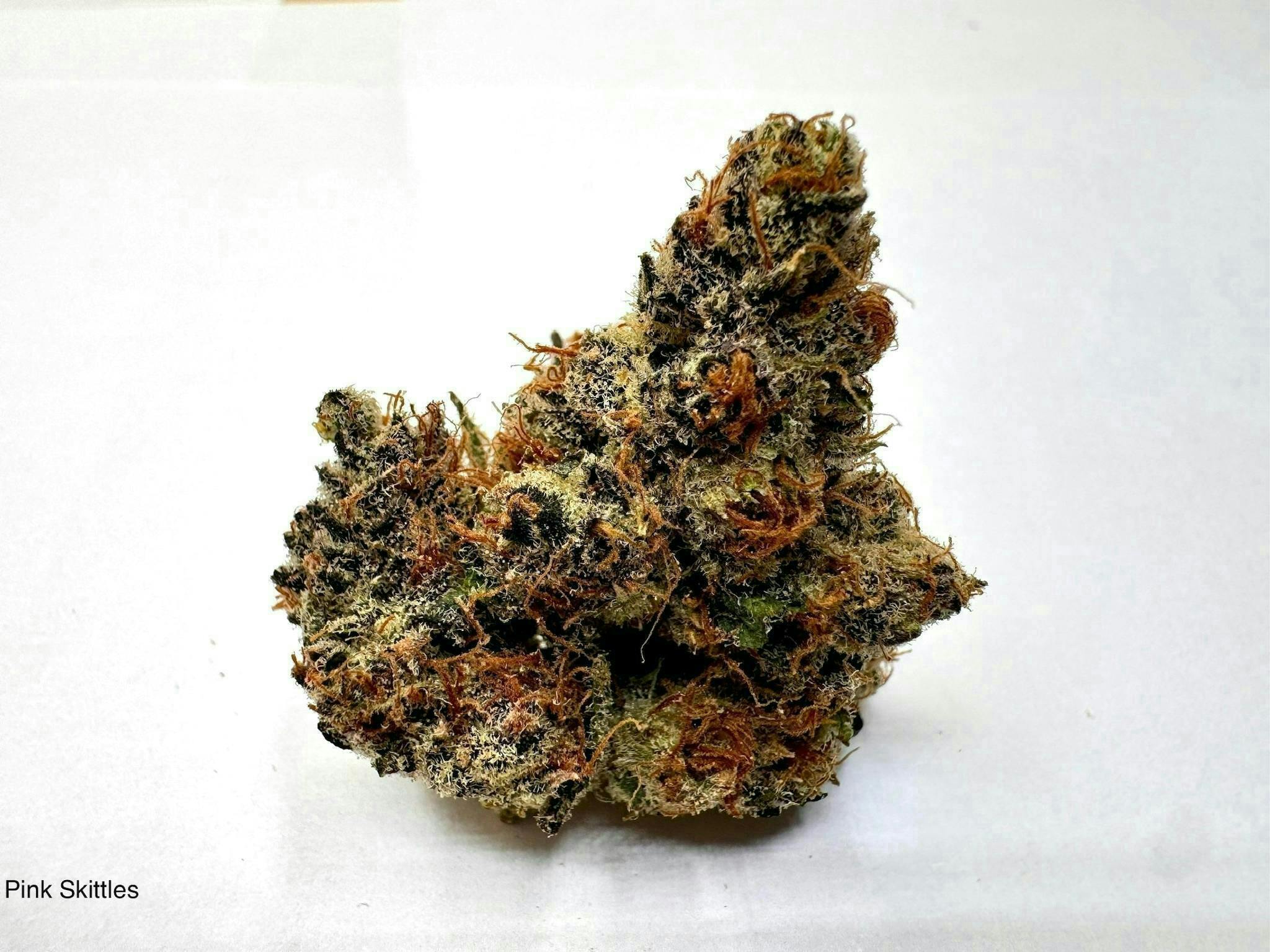 Eclipse Maine | Pink Zkittlez | Flower | 3.5g
