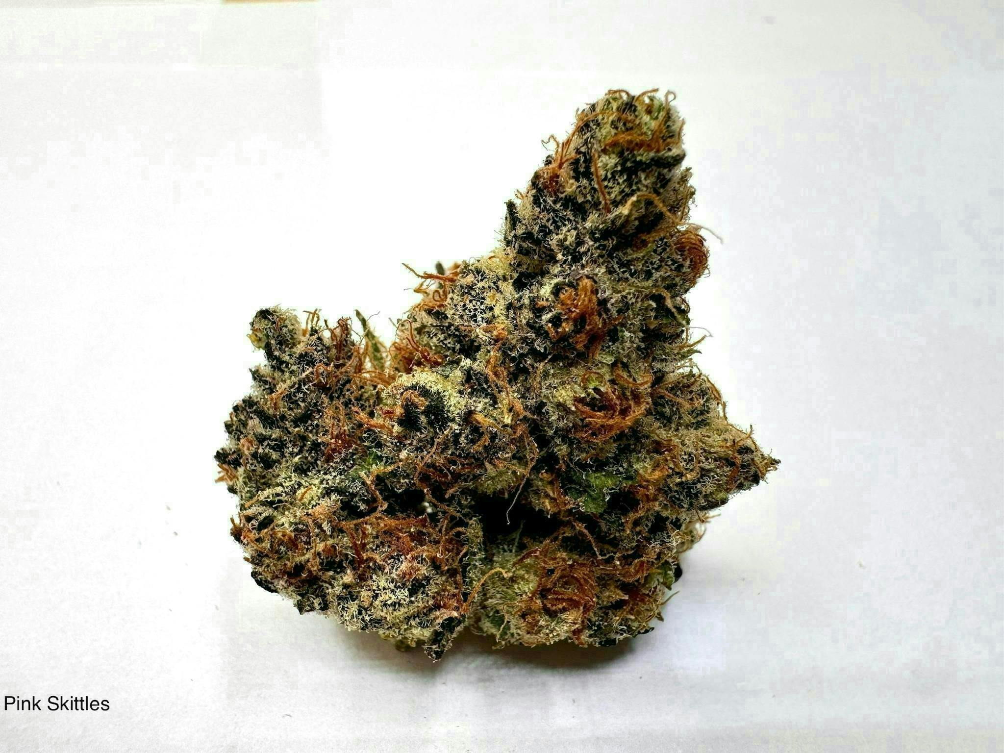 Eclipse Maine | Pink Zkittlez | Flower | 14g by Eclipse Maine