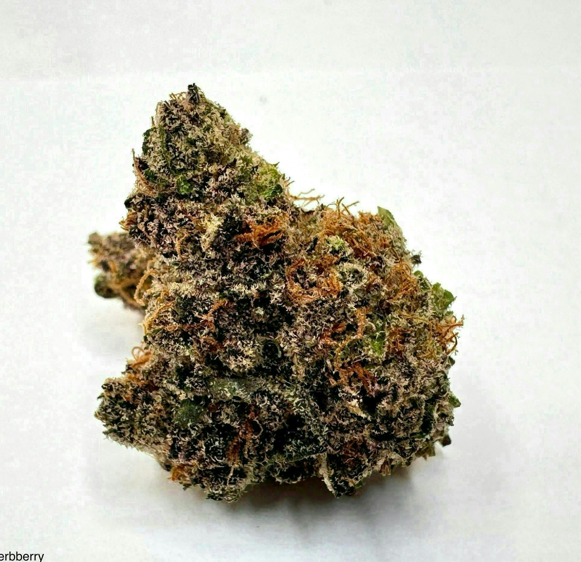 Eclipse Maine | Sherberry | Flower | 28g - Eclipse Maine