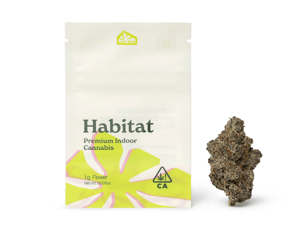 Dreamland | Big Buds | 1g by Habitat