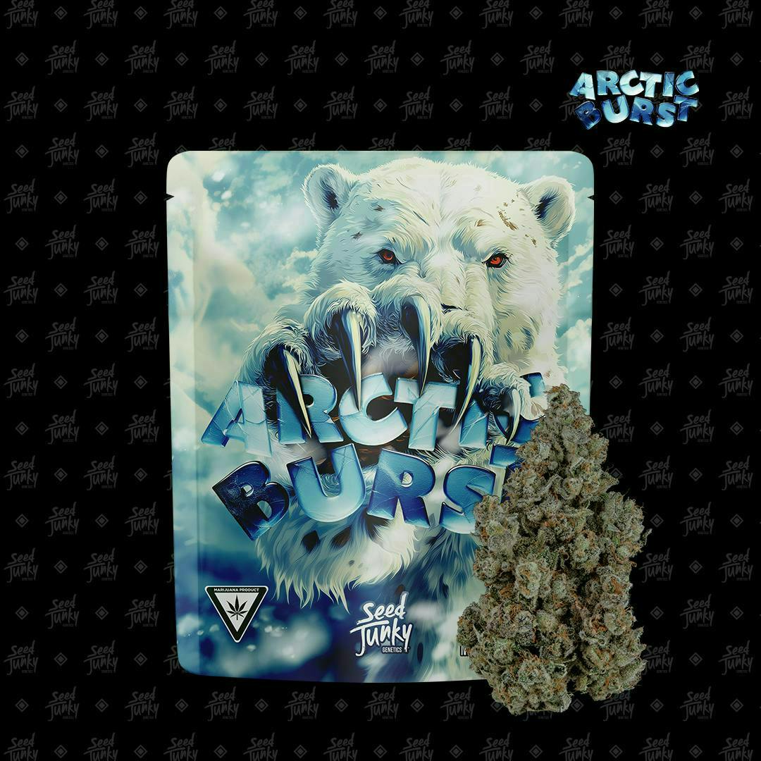 Arctic Burst | Big Buds | 3.5g by Seed Junky