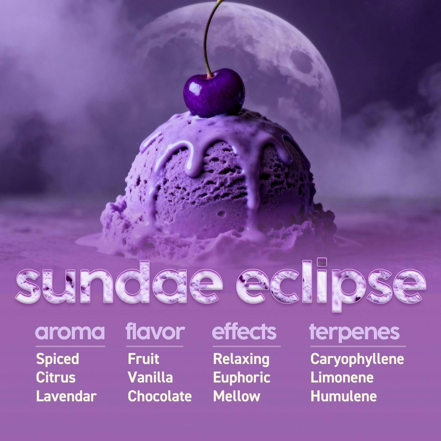 Sundae Eclipse | Big Buds | 3.54g