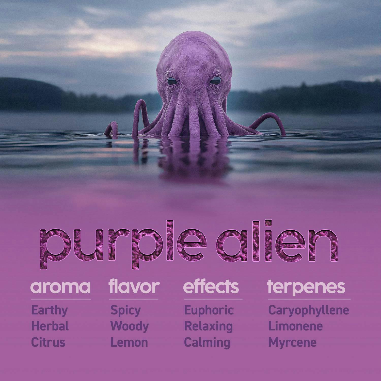 Purple Alien | Smalls | 7g