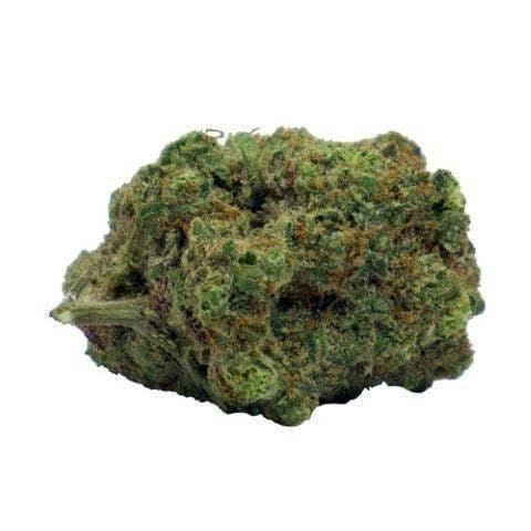 Blood Orange Kush | Big Buds | 7g