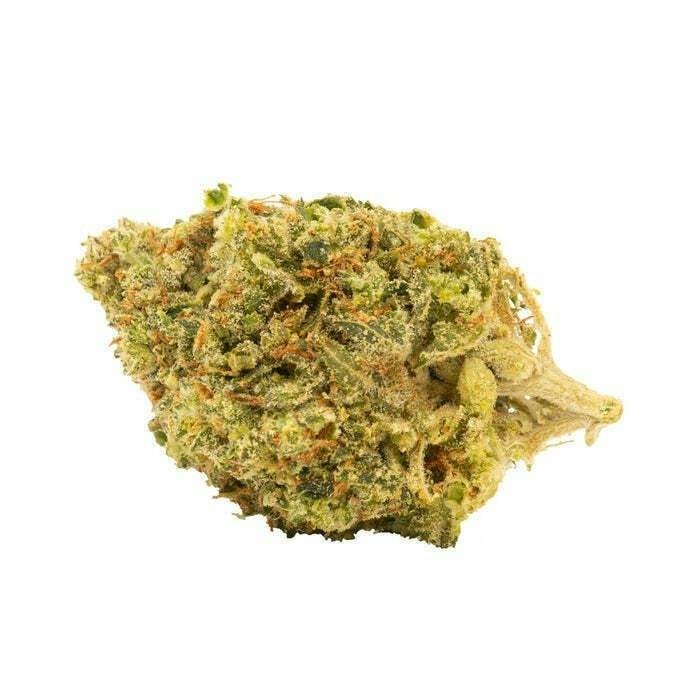 Chemsicle | Big Buds | 14g
