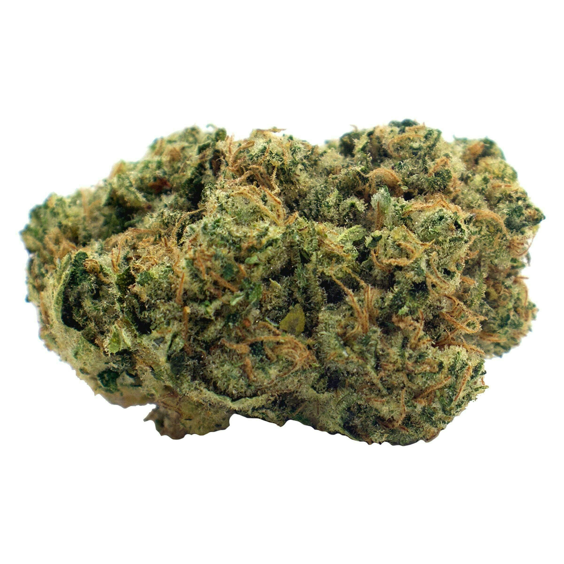 Sour Sucker Mints | Big Buds | 28g