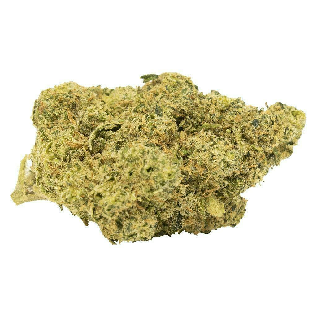Tropical Gelato Slushie | Big Buds | 14g