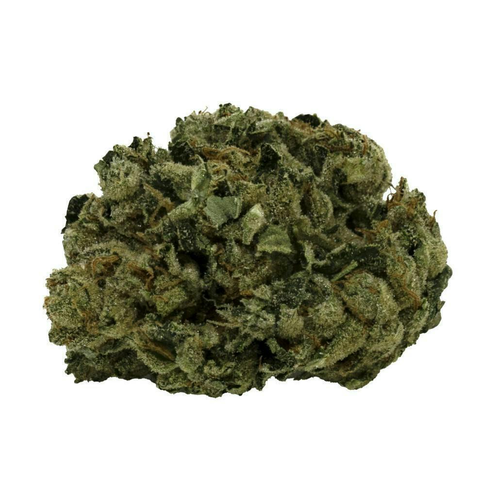 Funky Legend | Big Buds | 3.5g