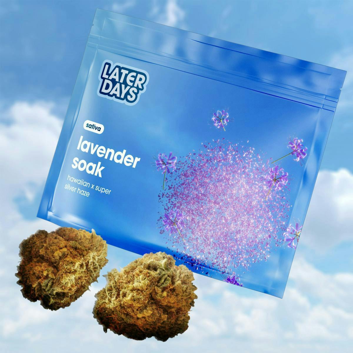 Lavender Soak | Big Buds | 3.54g