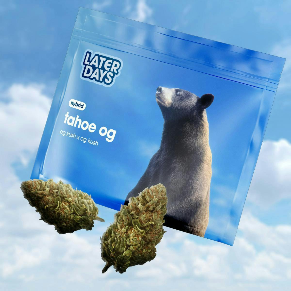 Tahoe OG | Big Buds | 3.54g at AYR Cannabis Dispensary Gainesville