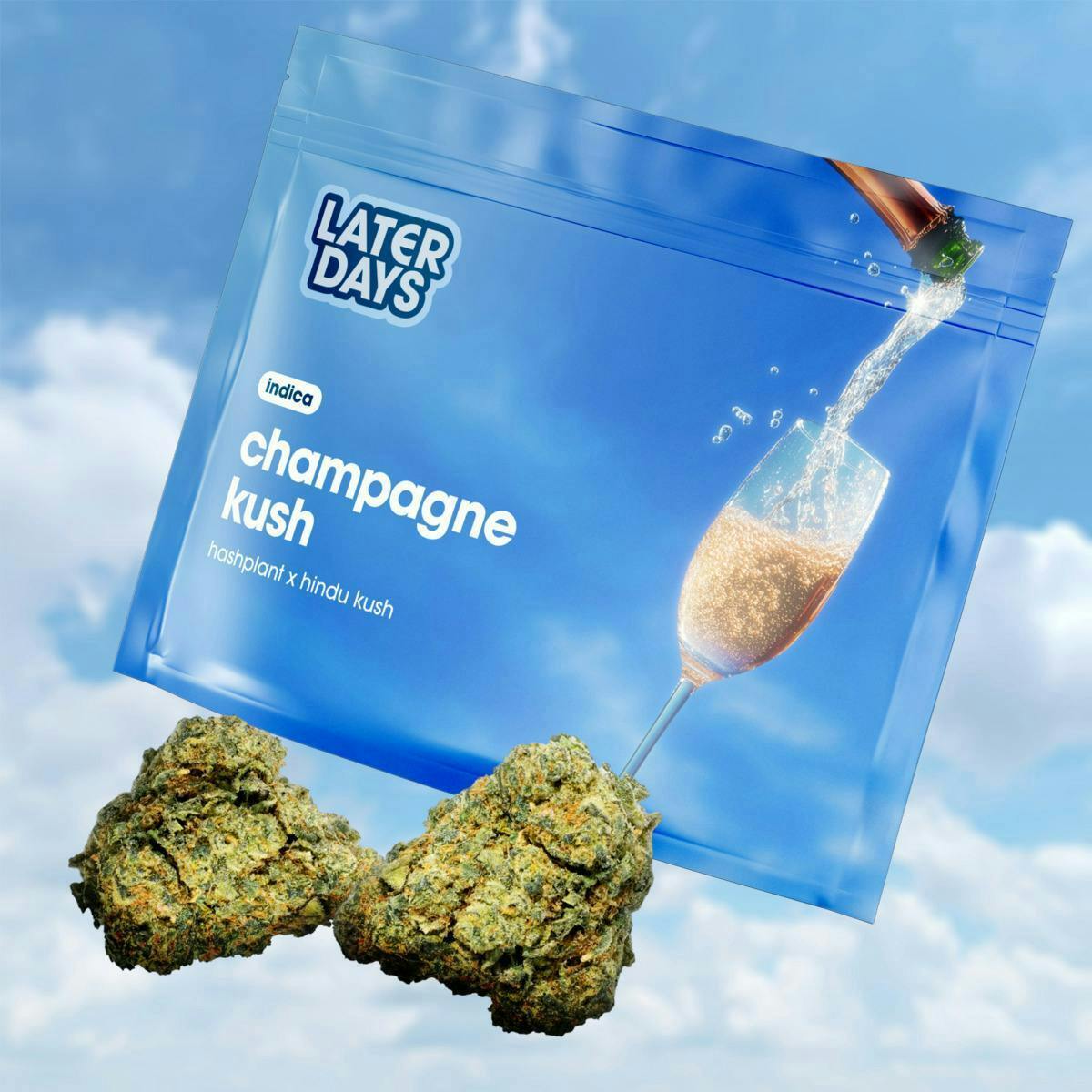 Champagne Kush | Big Buds | 3.54g at AYR Cannabis Dispensary Gainesville