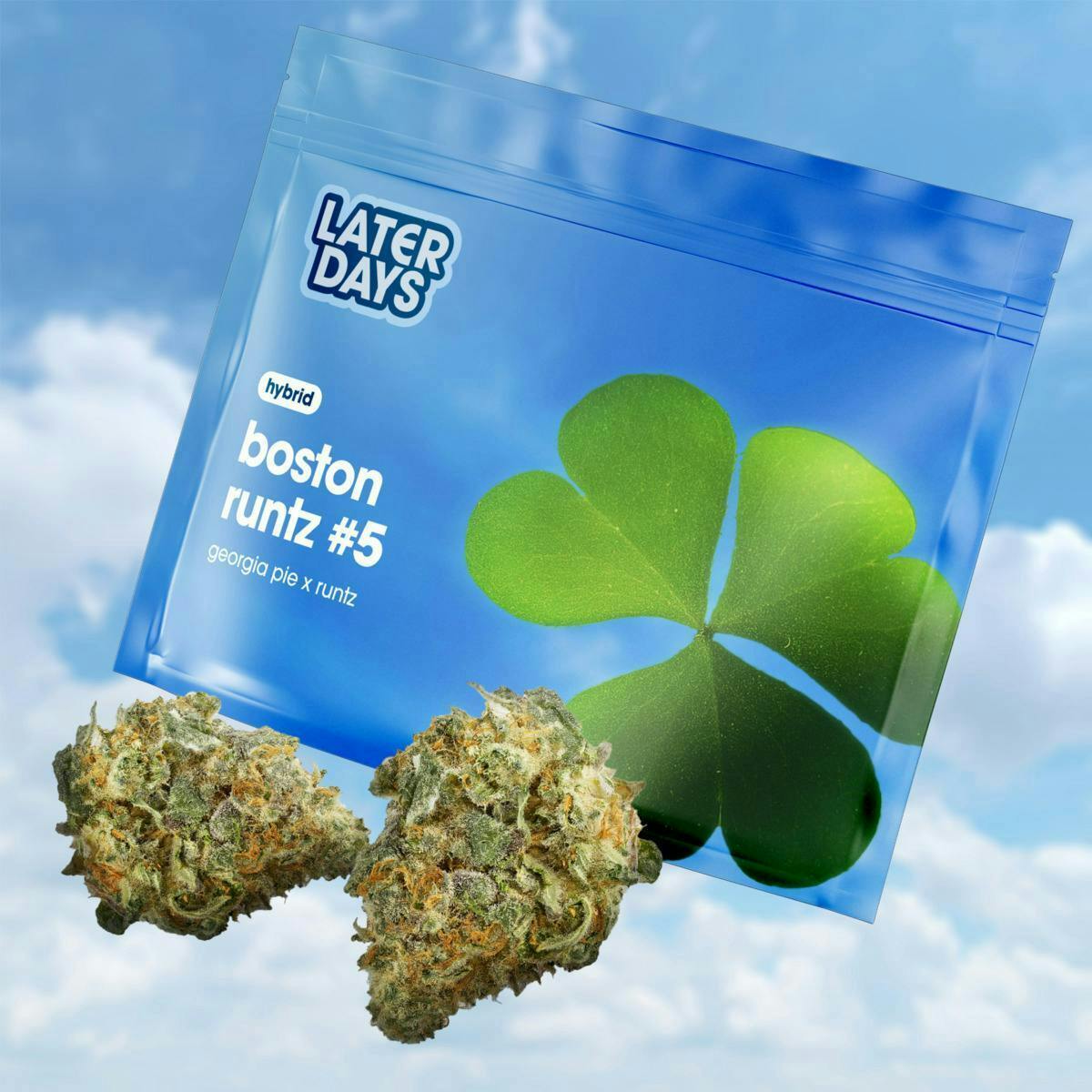 Boston Runtz #5 | Big Buds | 3.54g by Later Days
