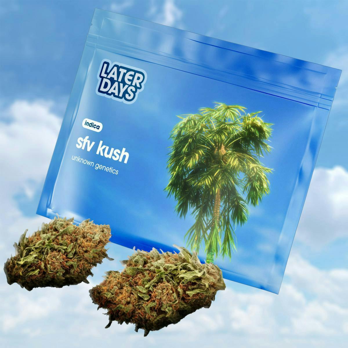 SFV Kush | Big Buds | 3.54g at AYR Cannabis Dispensary Gainesville