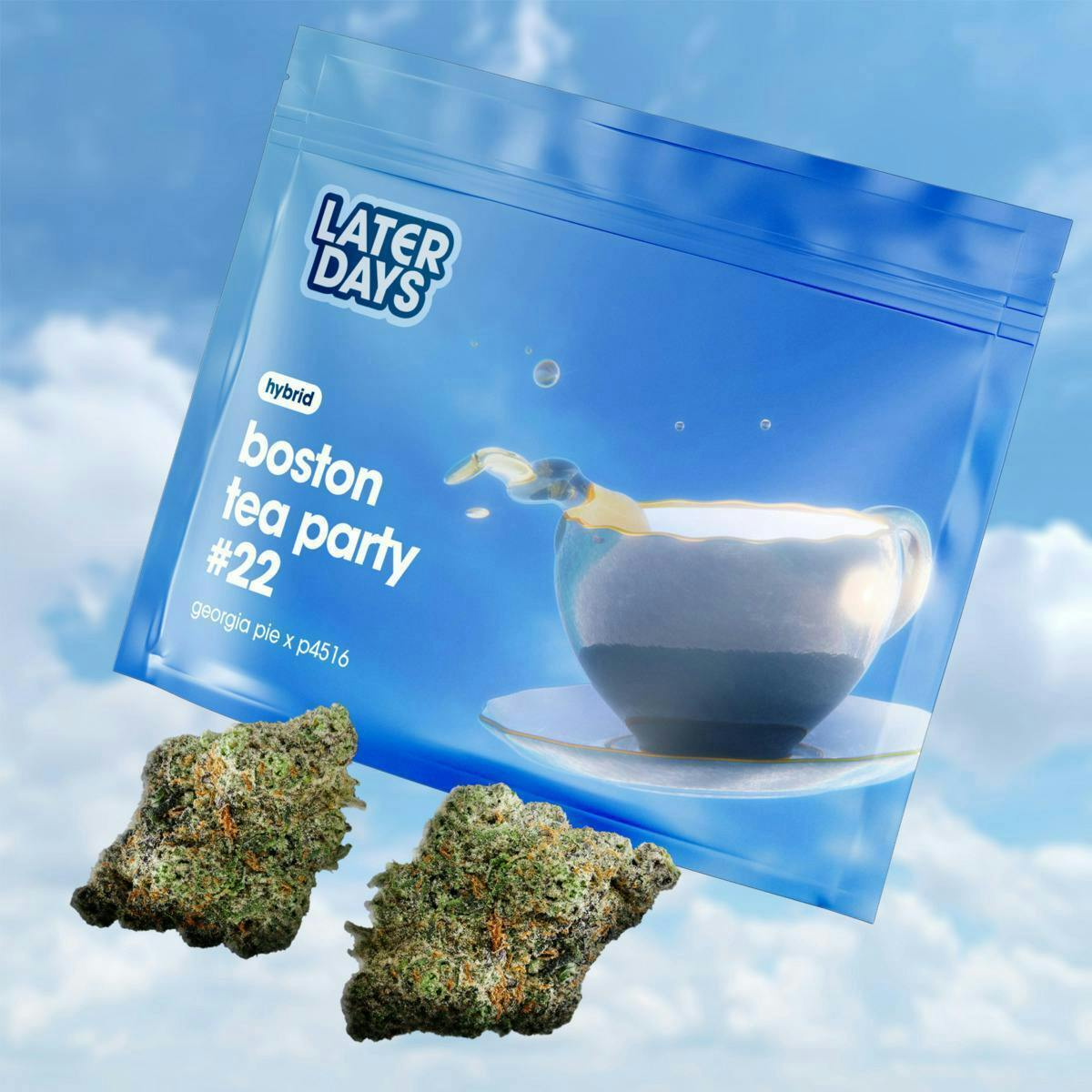 Boston Tea Party | Big Buds | 3.54g at AYR Cannabis Dispensary Gainesville