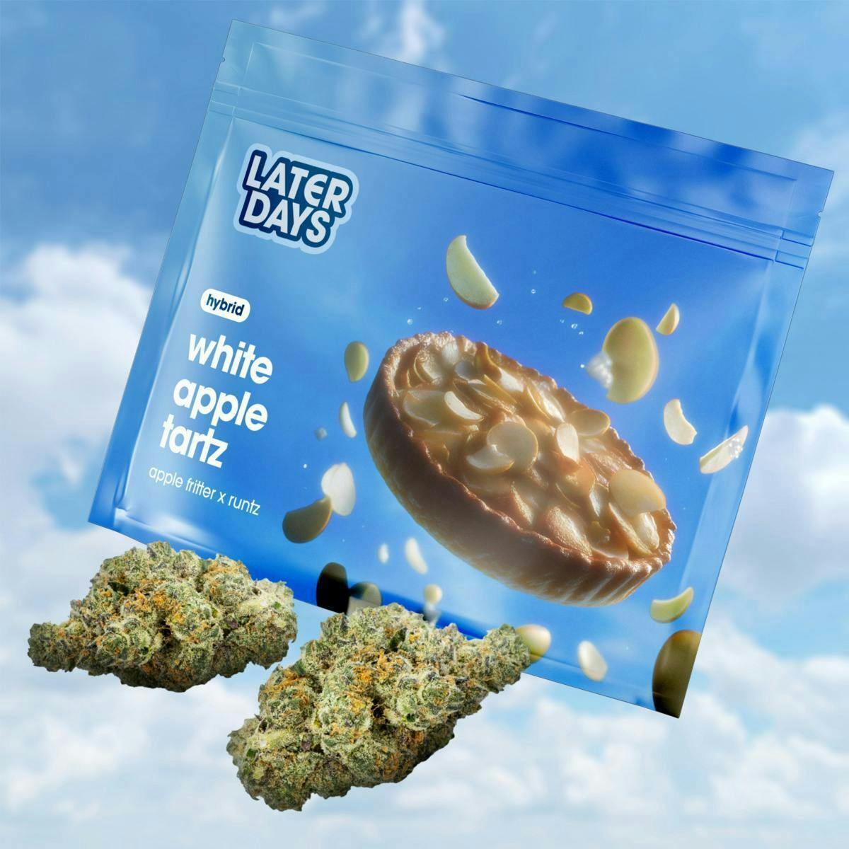 White Apple Tartz | Big Buds | 3.54g at AYR Cannabis Dispensary Gainesville