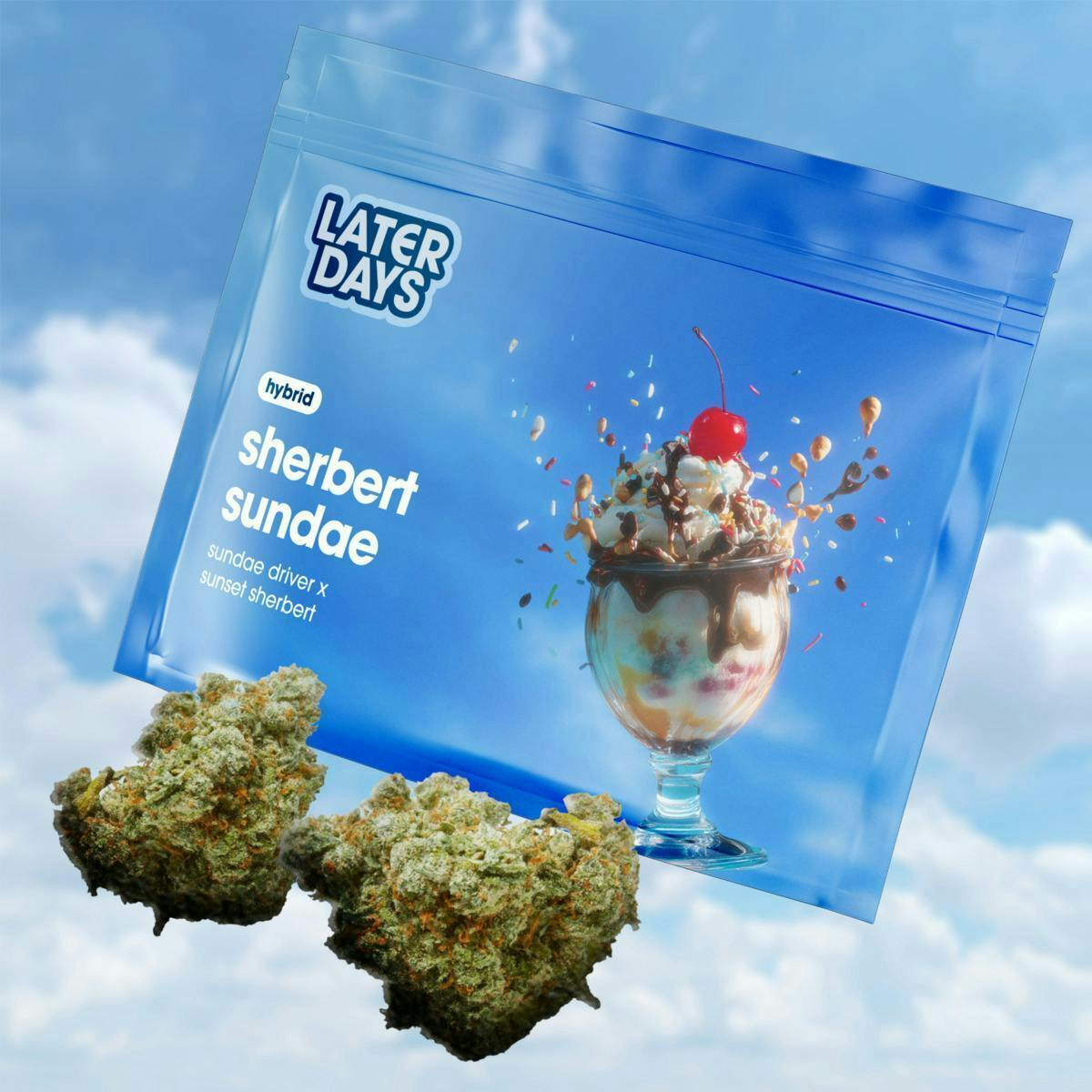 Sherbert Sundae | Big Buds | 3.54g by Later Days