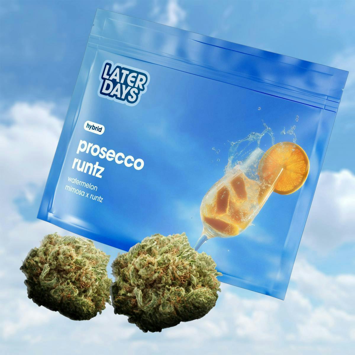 Prosecco Runtz | Big Buds | 3.54g at AYR Cannabis Dispensary Gainesville