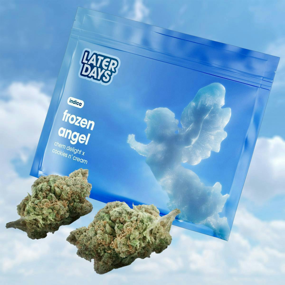 Frozen Angel | Big Buds | 3.54g at AYR Cannabis Dispensary Gainesville