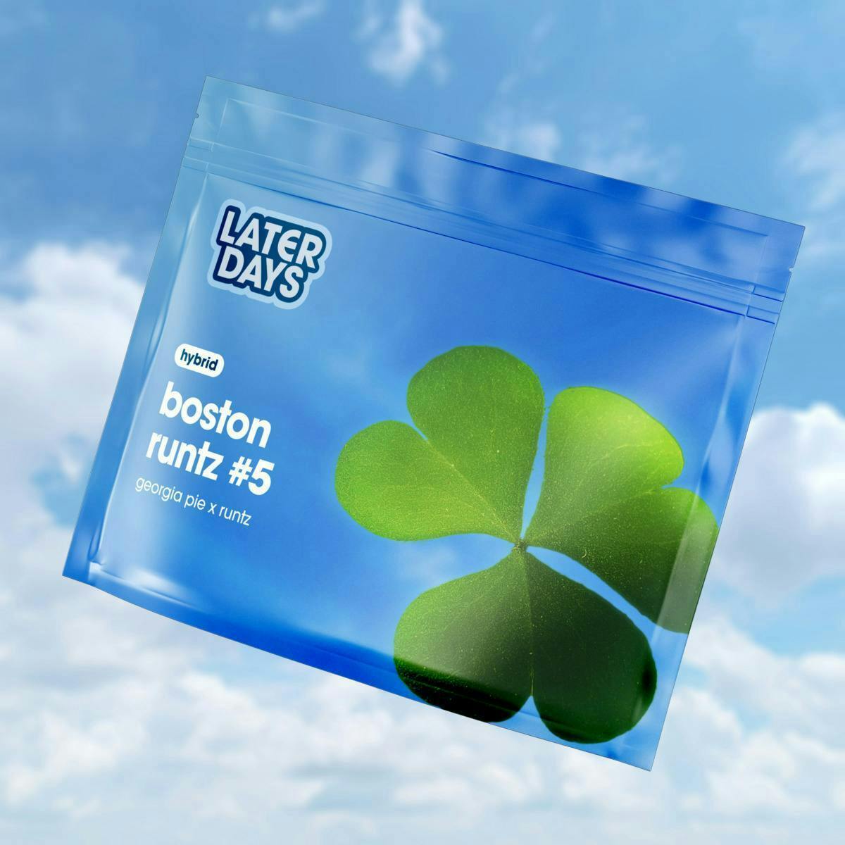 Boston Runtz #5 | Smalls | 7g by Later Days