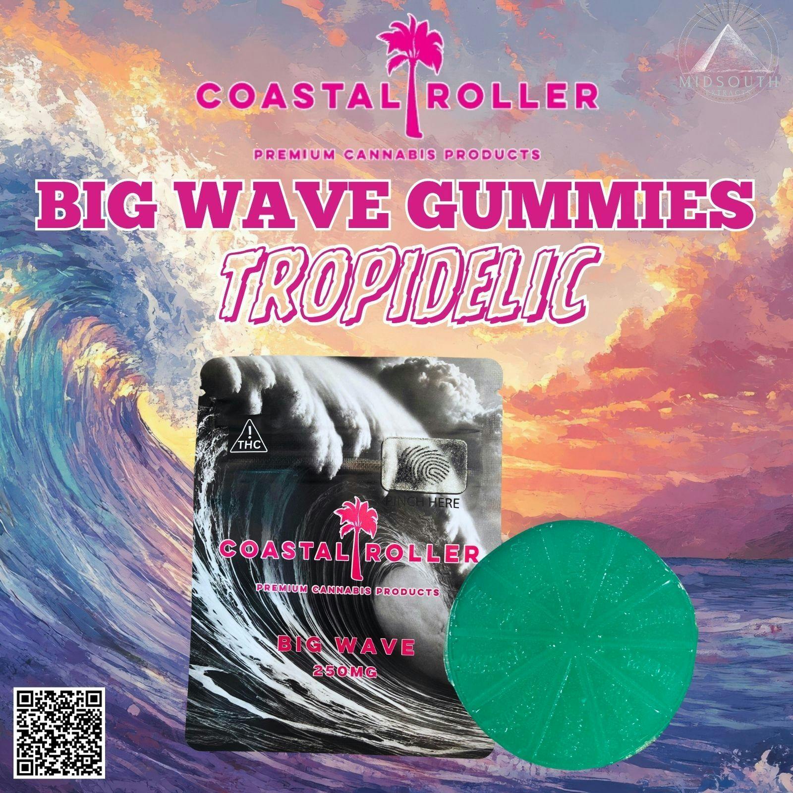 Coastal Roller - Big Wave Gummy - 250mg/1pk - Tropidelic at The Green Standard Dispensary