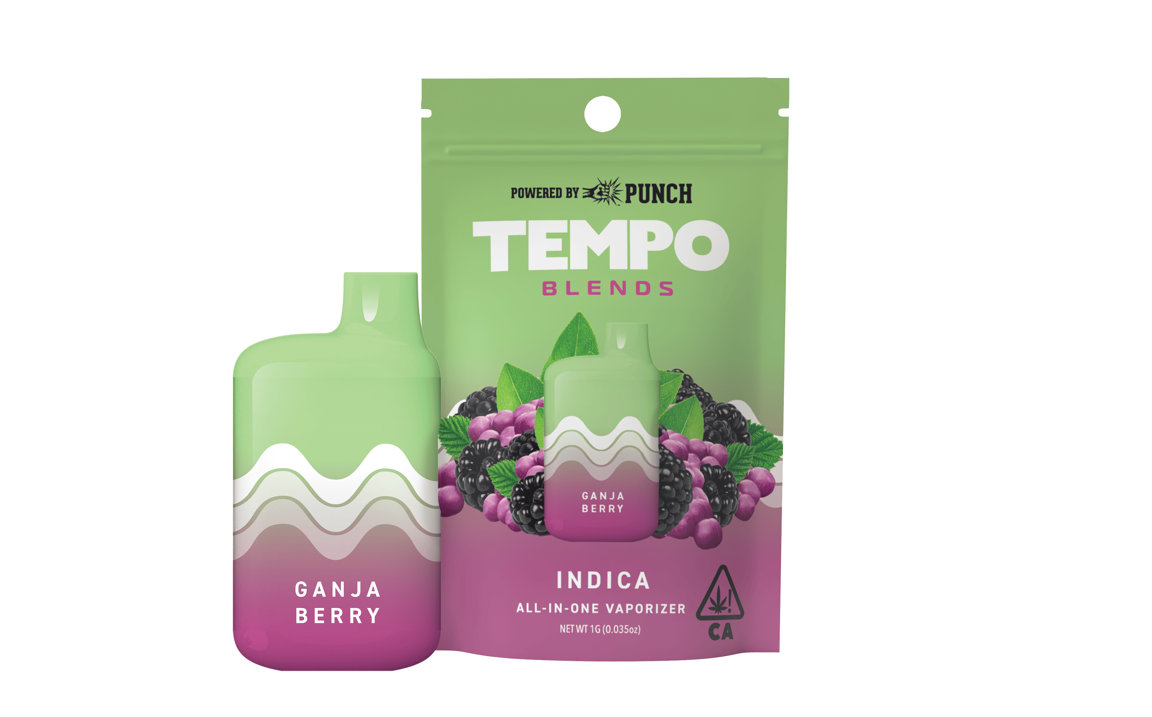 TEMPO — Ganja Berry