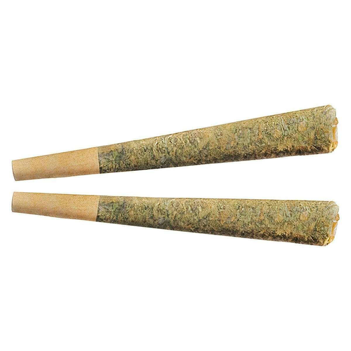 Night Rider | Joints | 1g