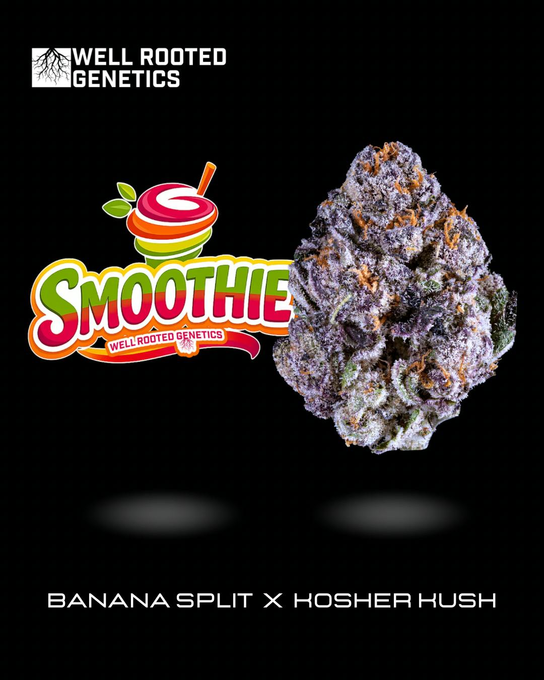 Well Rooted Genetics | Smoothie | Big Buds | 3.5g