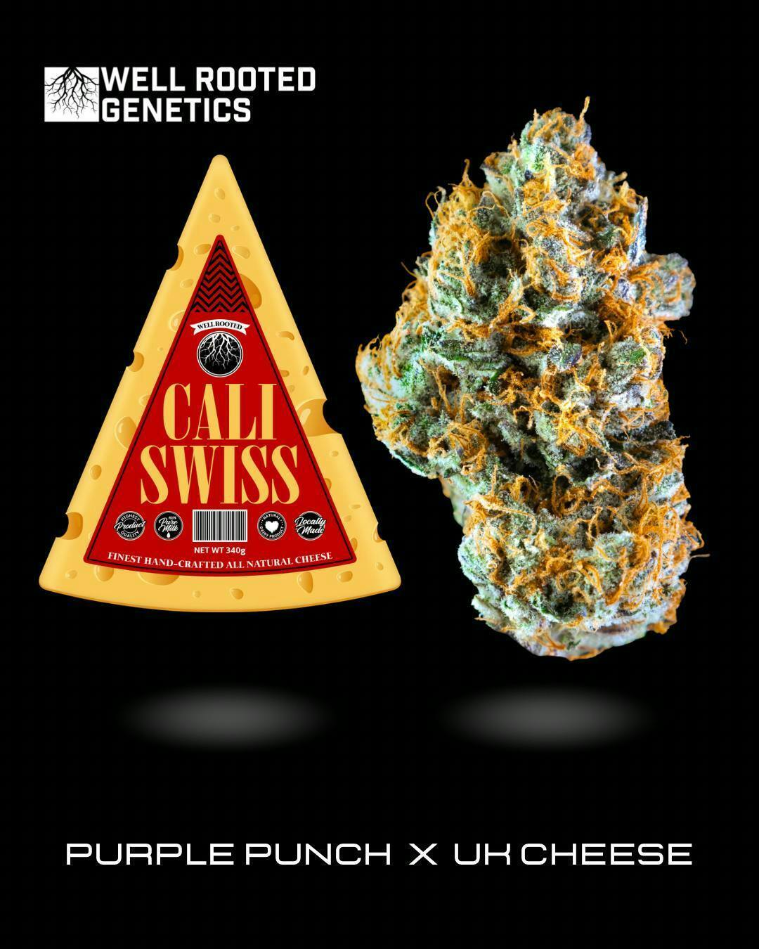 Well Rooted Genetics | Cali Swiss | Big Buds | 3.5g