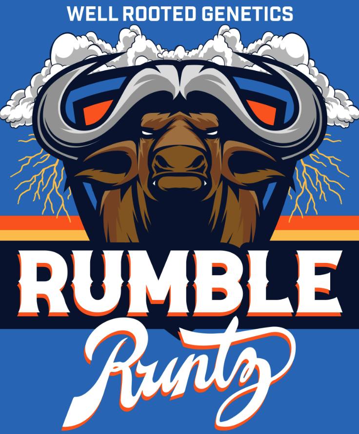 Well Rooted Genetics | Rumble Runtz | Big Buds | 3.5g by Well Rooted Genetics