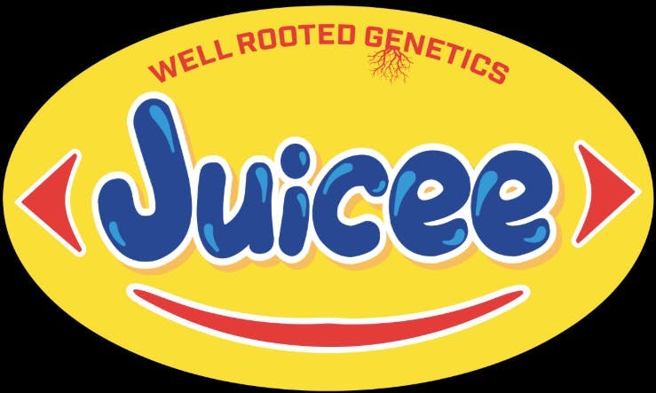 Juicee J | Live Hash Rosin | 1g