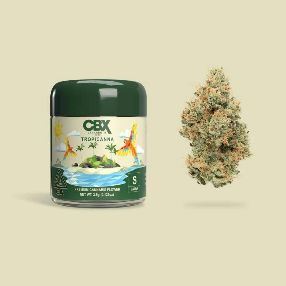CBX: Cannabiotix — Cannabiotix